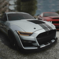 野马快车Drag Mustang Fast Car