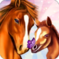 马儿天堂Horse Paradise
