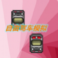 自由驾车模拟游戏