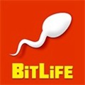 bitlife人生模拟