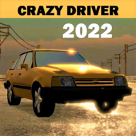 疯狂街道游戏下载(Crazy Raze)